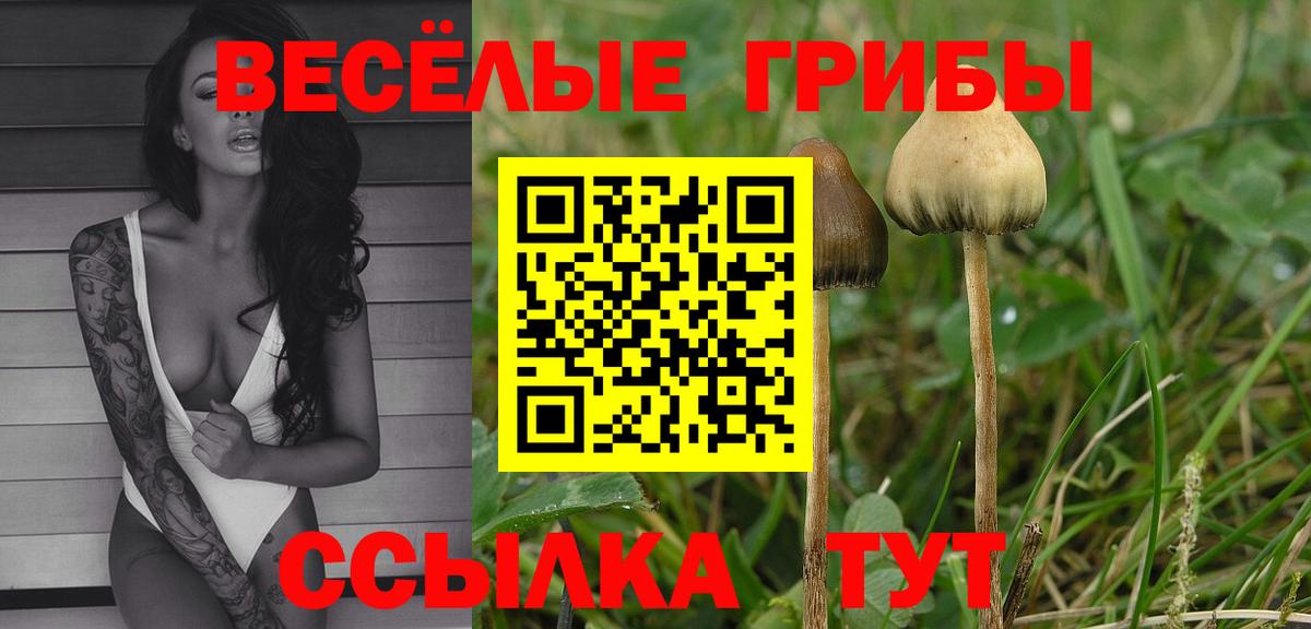 дарнет шоп  Галлюциногенные грибы мухоморы  Сорочинск  Вход с VPN  Псилоцибиновые грибы ЛСД 